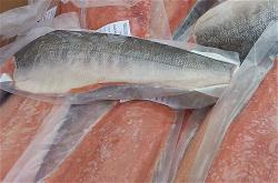 usa-chum-salmon-fillet-skin-on-1